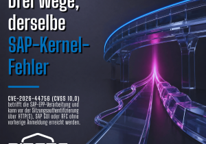 SAP Kernel RCE Schwachstelle trifft 10.000+ Systeme